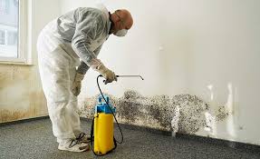  La Mesilla, NM Mold Remediation Pros